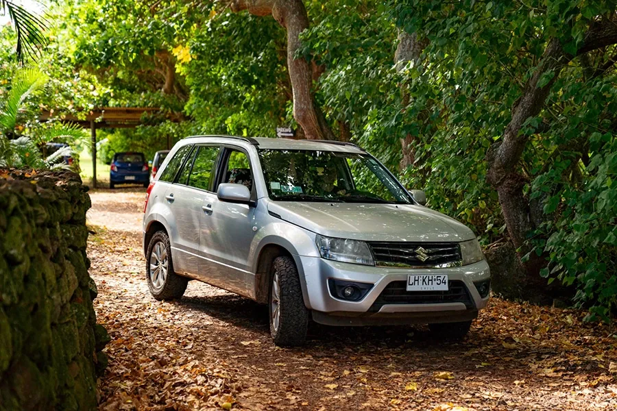 Grey Suzuki Grand Vitara on the track to the bungalows, between a stone wall and tropical plants.