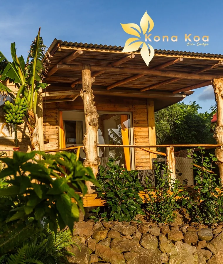 Wooden bungalow with a planted roof and banana trees, Kona Koa Eco Lodge.