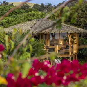 View from a tropical garden of the open-air Hoe Vaka lounge bungalow, with thatched roof and wooden terrace.