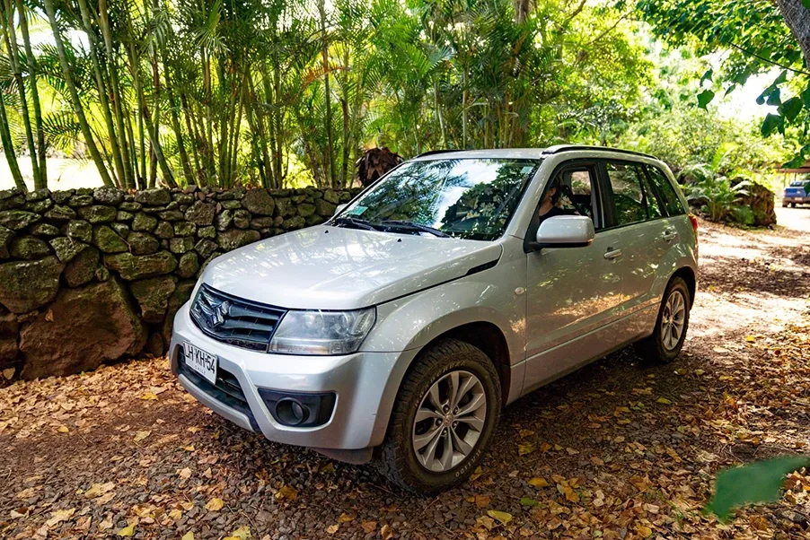Grey Suzuki Grand Vitara parked under palm trees along a volcanic stone wall.