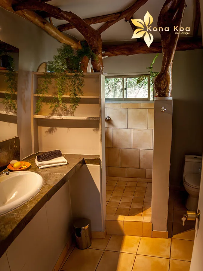 Rustic bathroom with walk-in shower and basin, decorated with a tree trunk and plants.