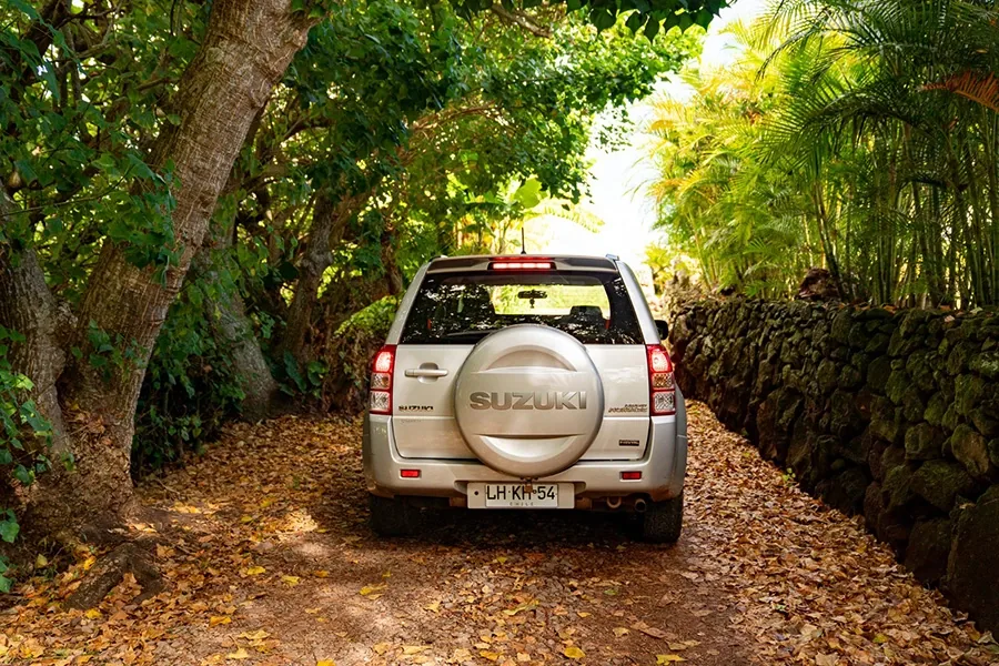 Grey Suzuki Grand Vitara seen from behind on a dirt track lined with volcanic stone walls and palms.